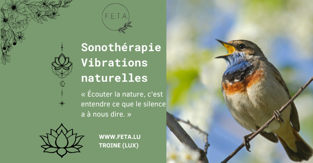 image de sonothérapie niveau 4