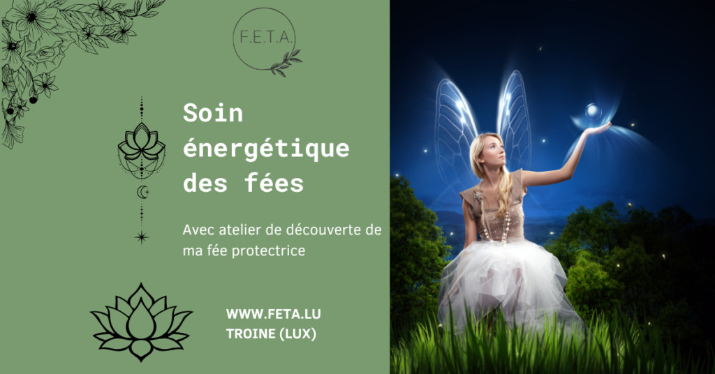 Image de la formation sur le soin énergétique des fées