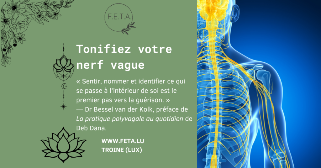 illustration de tonifiez votre nerf vague