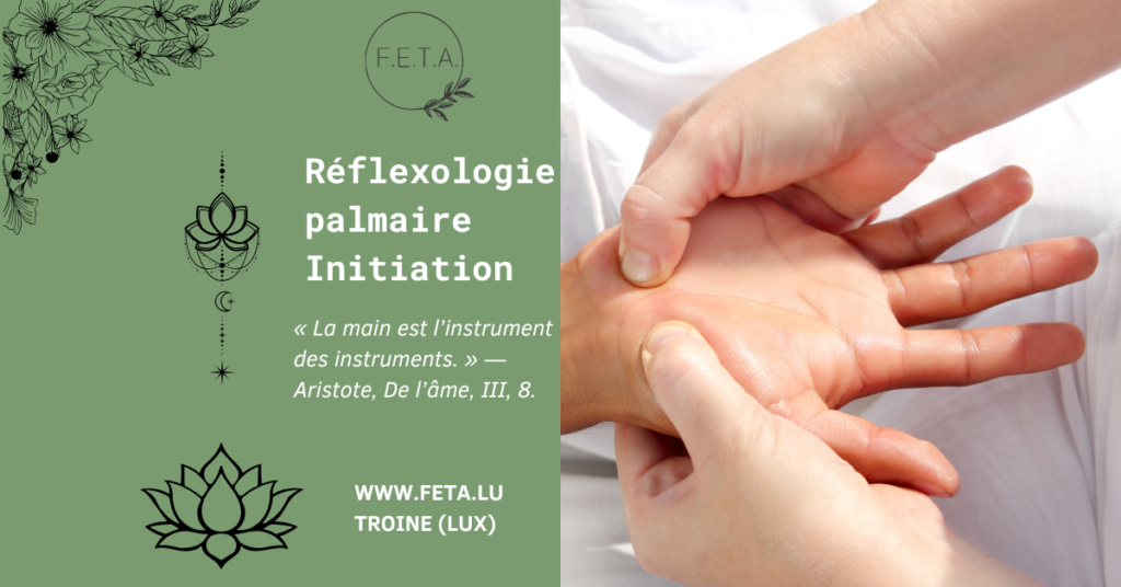 illustration de l'initiation à la réflexologie palmaire