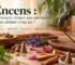 Encens en bâtonnets et en cônes, résines naturelles, lavande et rose sur une table en bois, illustrant les différentes senteurs et le choix des encens.